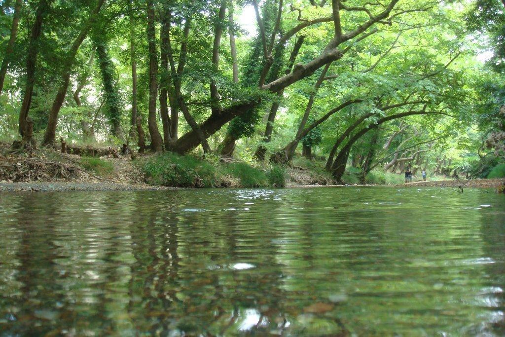 The Villa Averoff Kirinthos Ruang foto